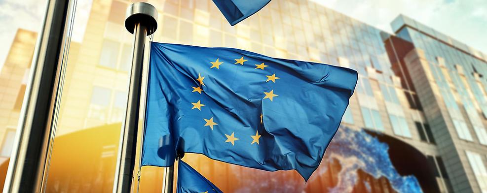 Studie: Der Mittlere Niederrhein und Europa 2024