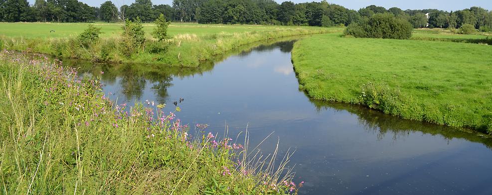 Wasserrahmenrichtlinie